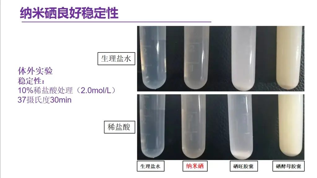 纳米硒科研成果
