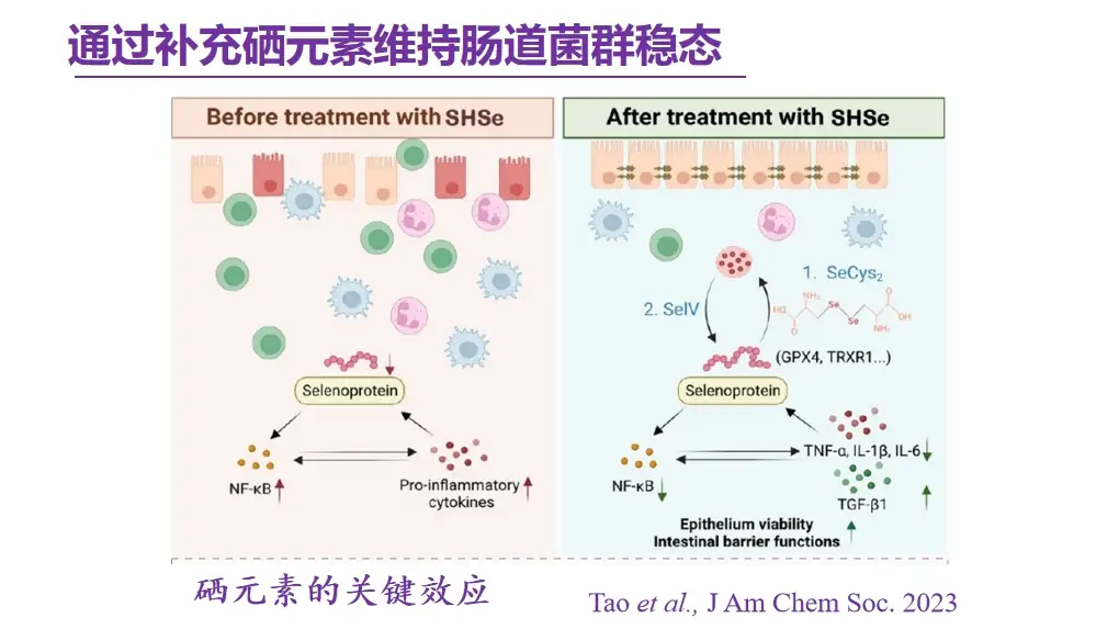 纳米硒科研成果