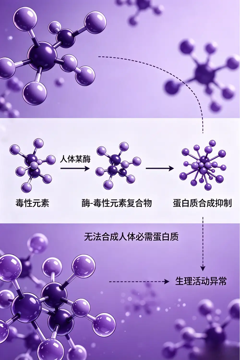 营养/毒性元素检测