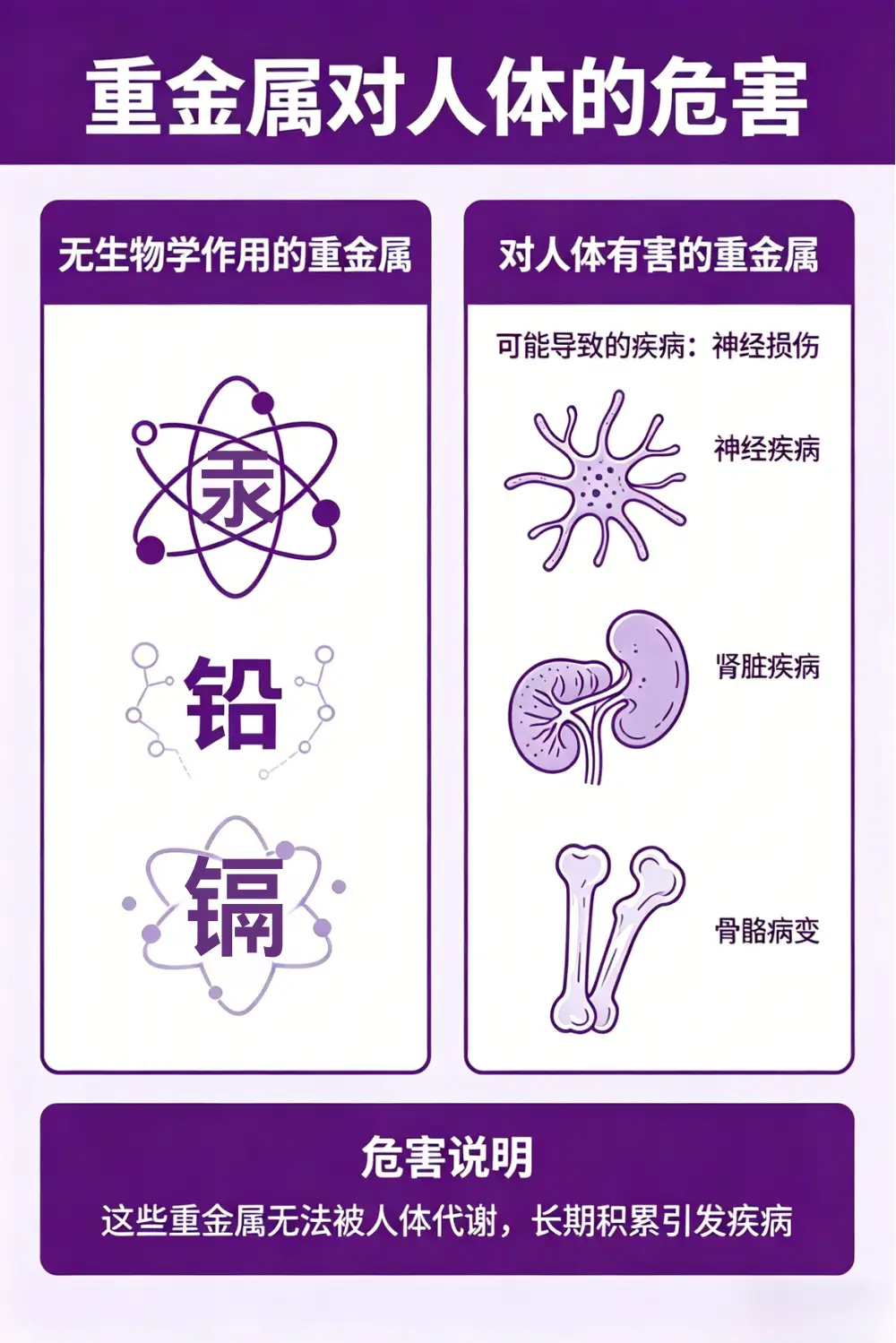 营养/毒性元素检测