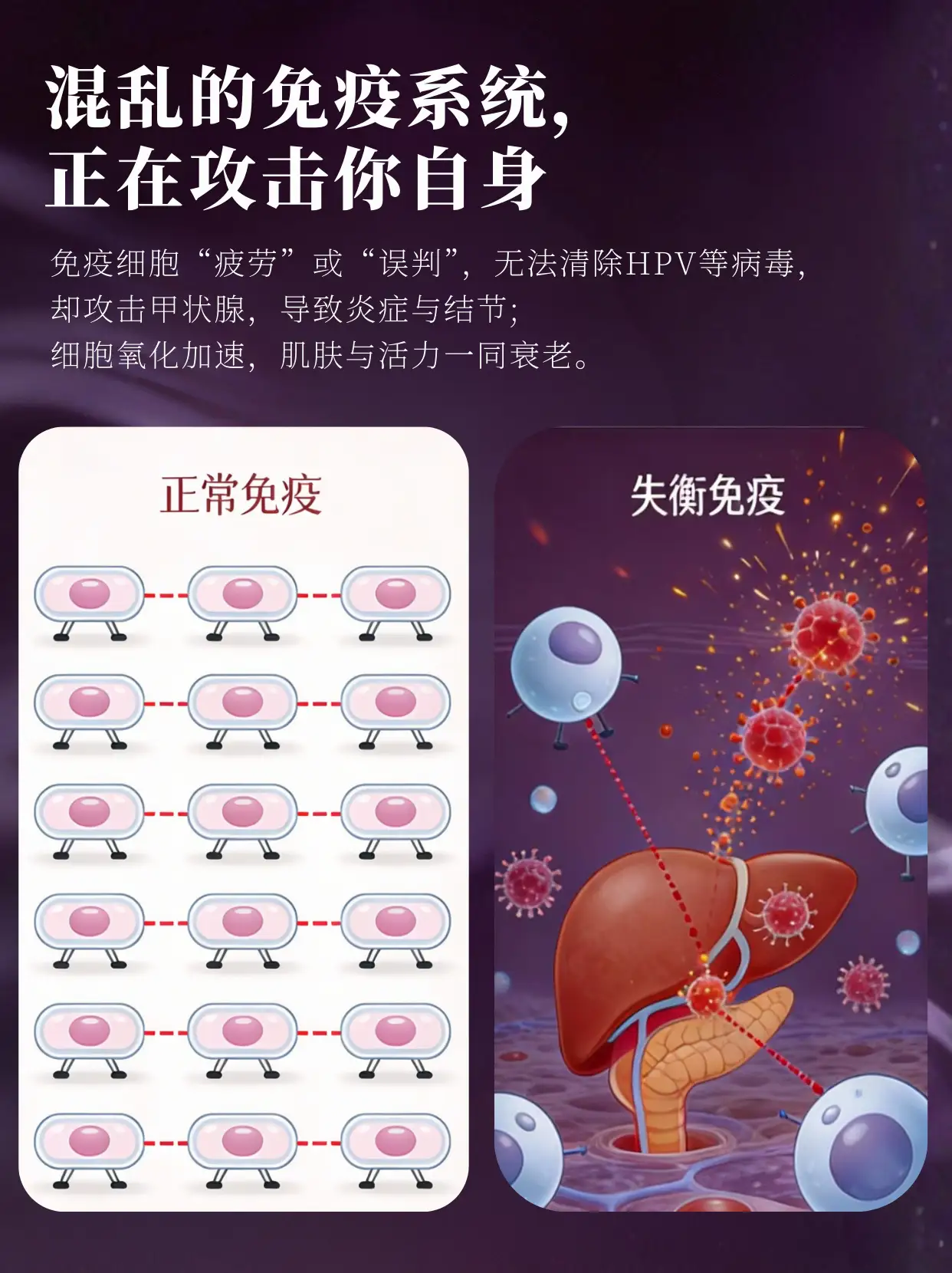 产品详情页